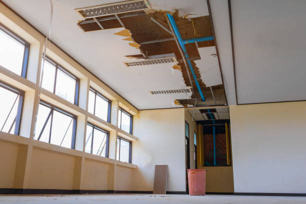 Best Sewage cleanup and water damage restoration  in Bryn Mawr Skyy, WA