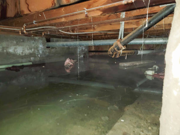 Reliable Bryn Mawr Skyway, WA Water damage restoration Solutions