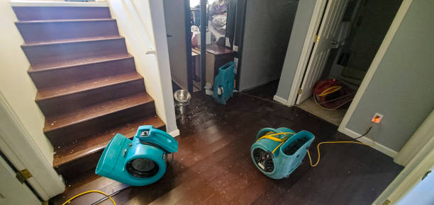 Best Flood damage cleanup  in Bryn Mawr Skyy, WA