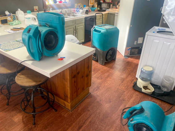 Best Water damage cleanup near me  in Bryn Mawr Skyy, WA