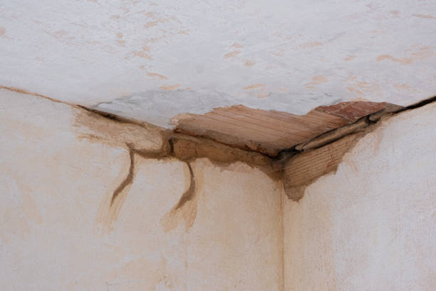 Best Professional water damage repair  in Bryn Mawr Skyy, WA