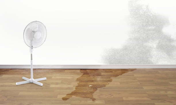 Best Commercial water damage restoration  in Bryn Mawr Skyy, WA