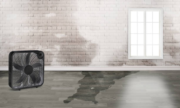 Best 24-hour water damage restoration  in Bryn Mawr Skyy, WA