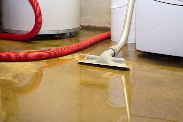 Best Basement water damage restoration  in Bryn Mawr Skyy, WA