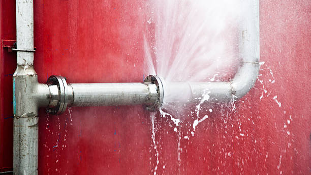Best Flood restoration services  in Bryn Mawr Skyy, WA